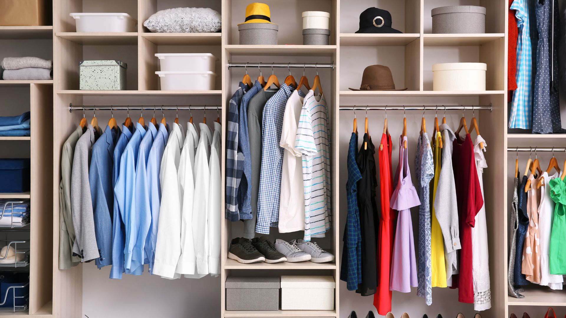 organization